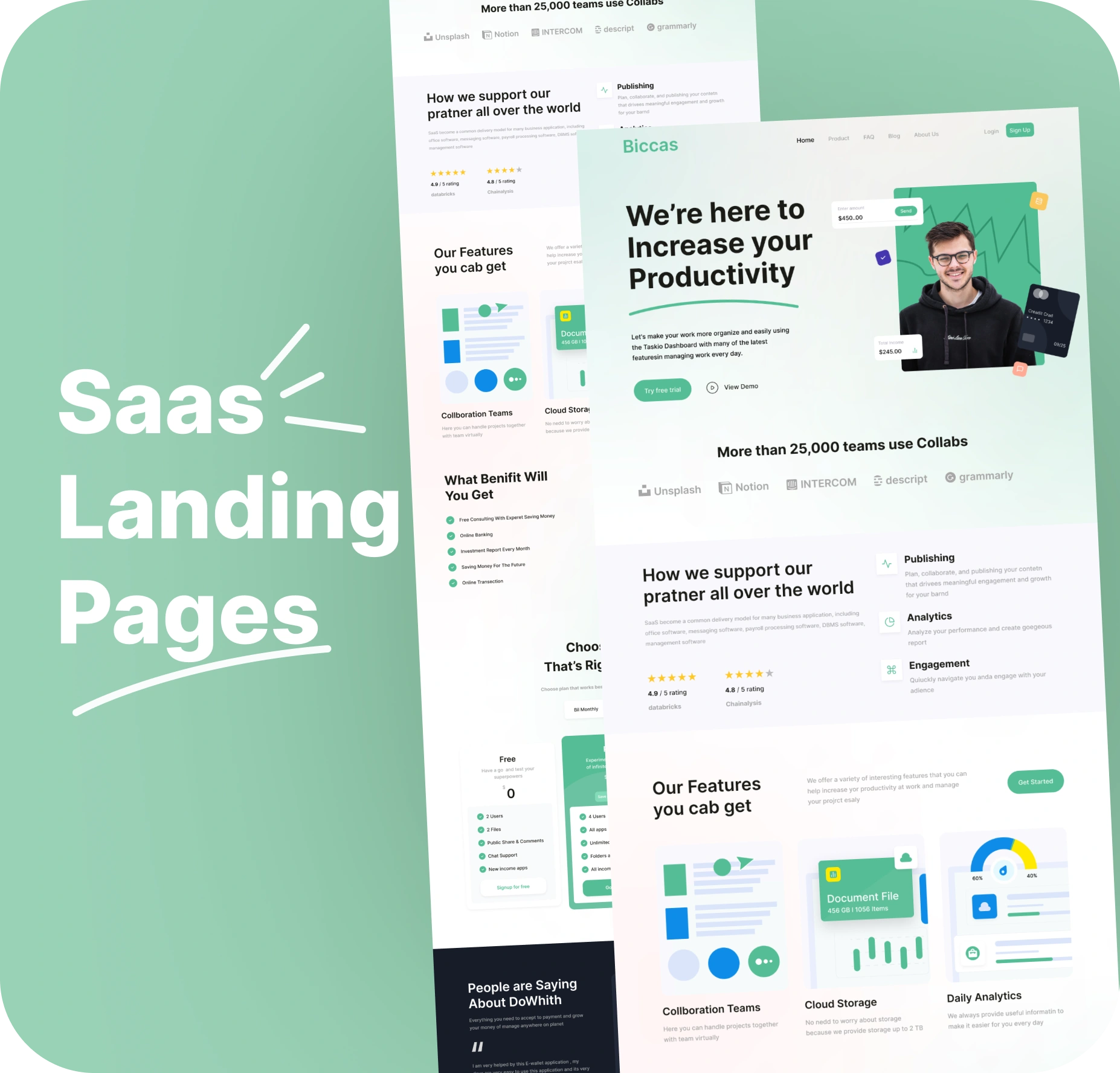 Indigo Flights Case Study
